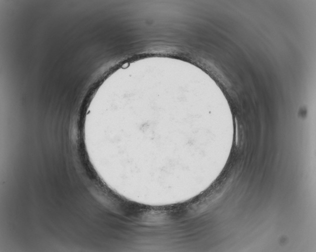 X0000116660252201001251224