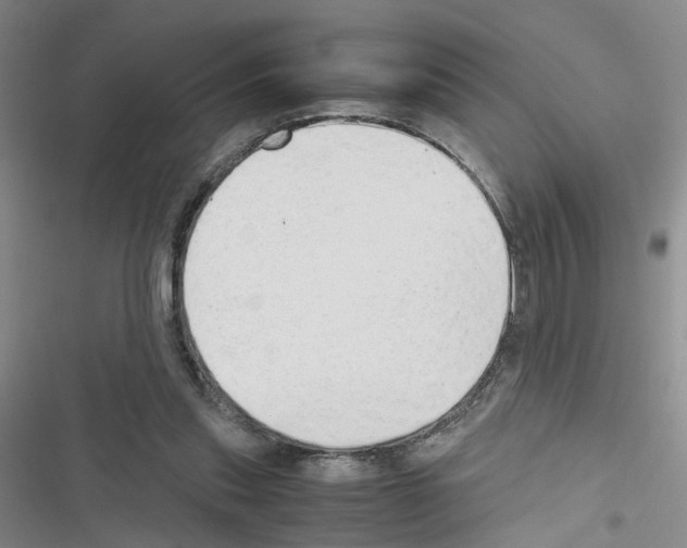 X0000116660253201001251224