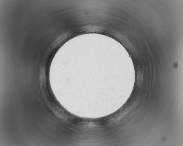 X0000116660254201001251224