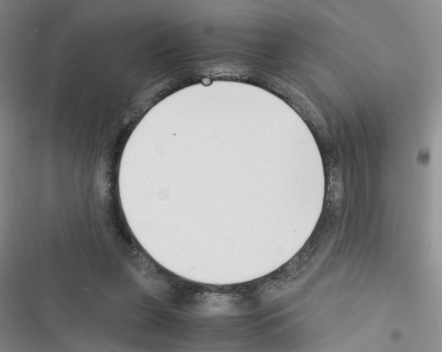 X0000116660255201001251224