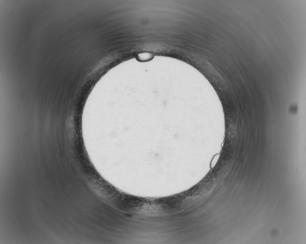 X0000116660256201001251224