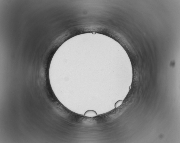 X0000116660258201001251224