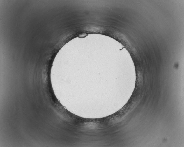 X0000116660259201001251224