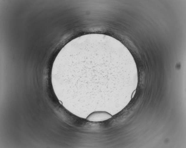 X0000116660260201001251224