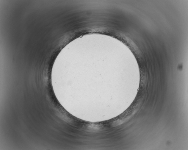 X0000116660261201001251224
