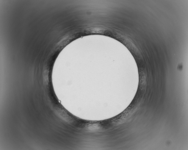 X0000116660262201001251224