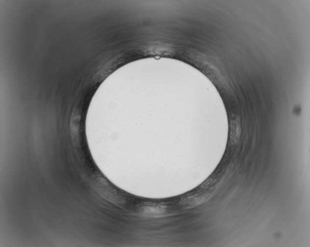 X0000116660263201001251224