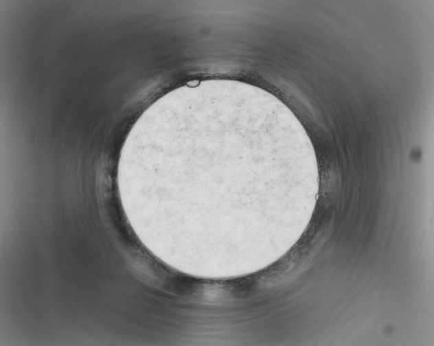 X0000116660264201001251224