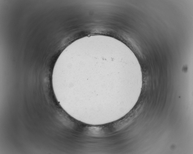 X0000116660265201001251224