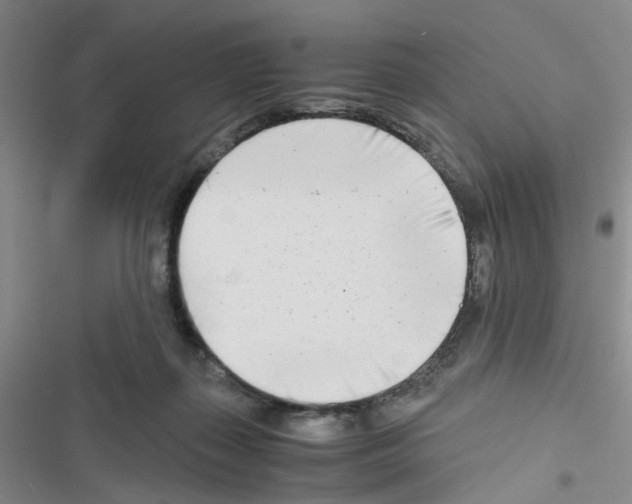 X0000116660267201001251224