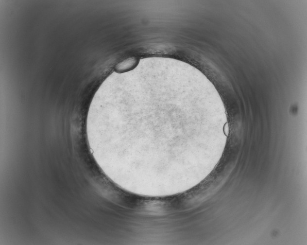 X0000116660268201001251224