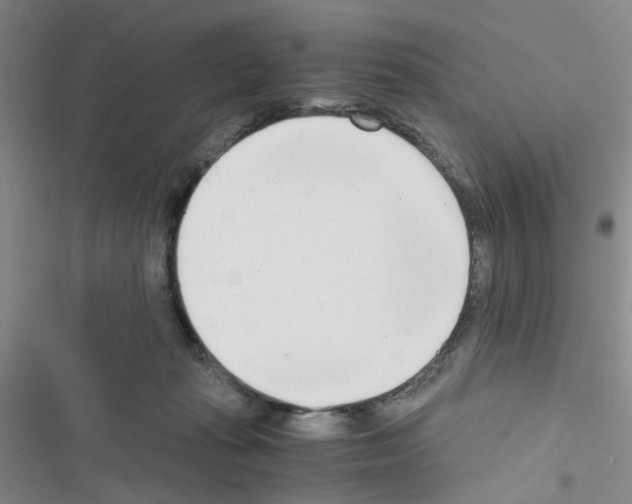 X0000116660269201001251224