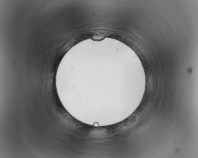 X0000116660271201001251224