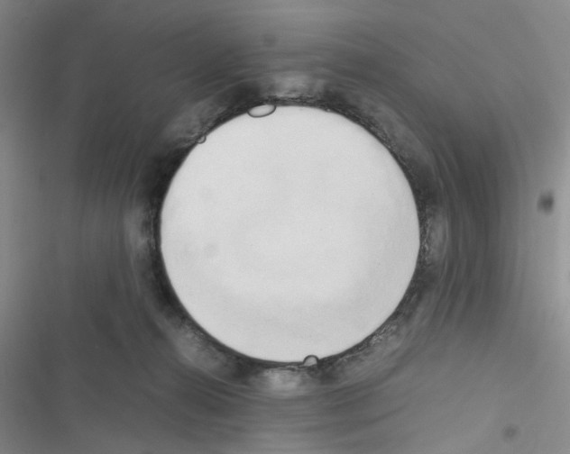 X0000116660272201001251224