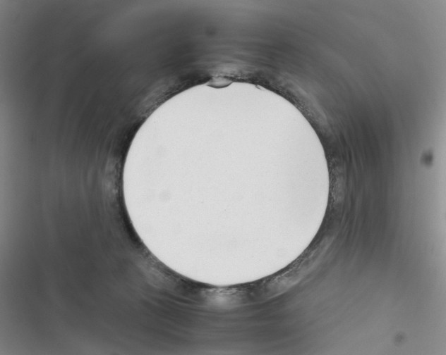 X0000116660273201001251224