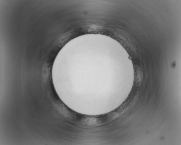 X0000116660276201001251224