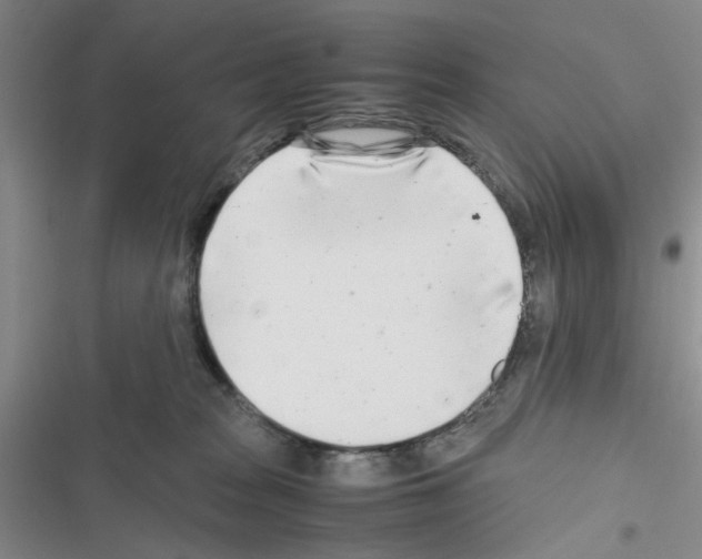 X0000116660277201001251224