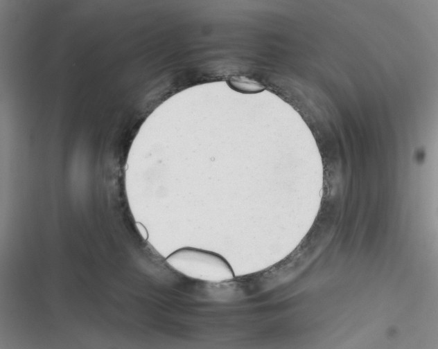 X0000116660279201001251224