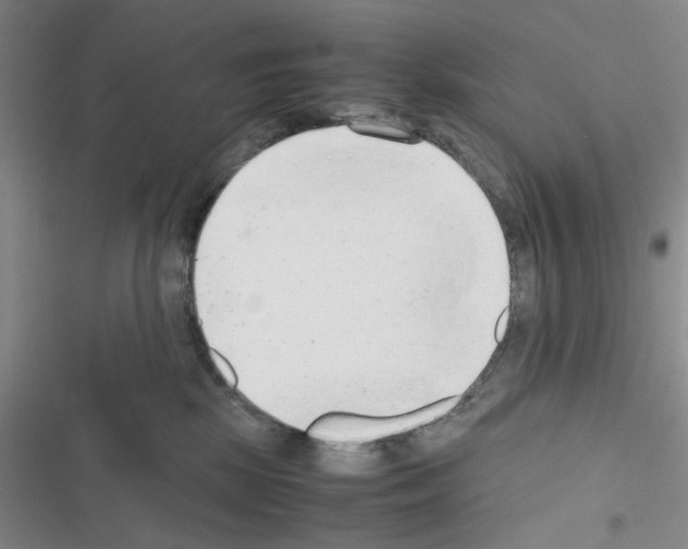 X0000116660281201001251224