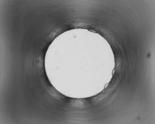 X0000116660282201001251224