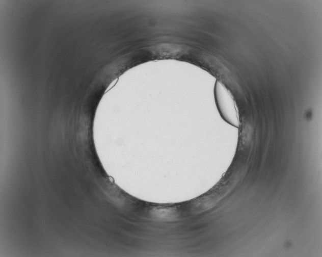X0000116660283201001251224
