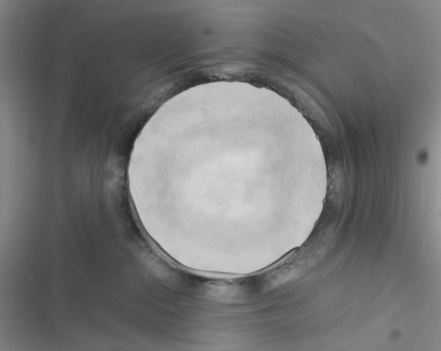 X0000116660284201001251224
