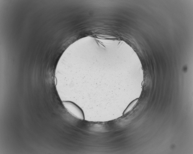 X0000116660285201001251224