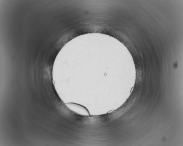 X0000116660286201001251224