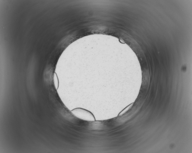 X0000116660287201001251224