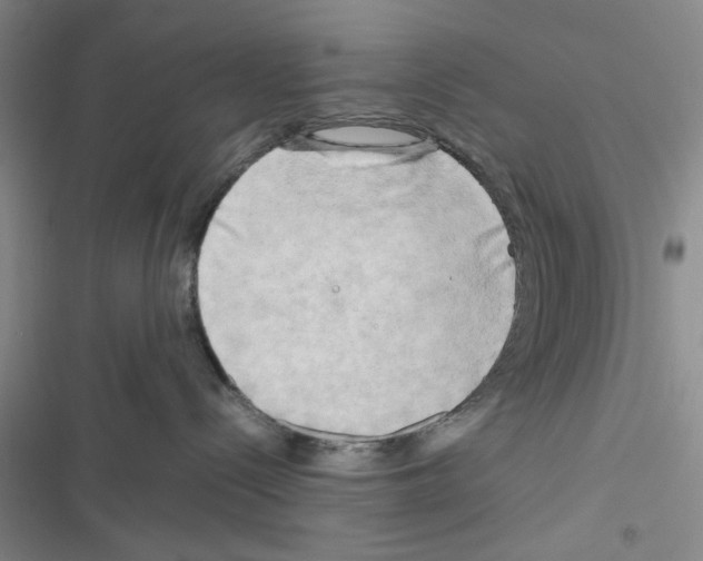 X0000116660288201001251224