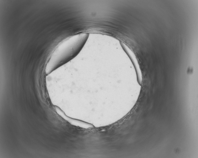 X0000116660289201001251223