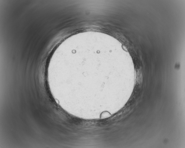 X0000116660291201001251223