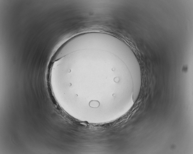 X0000116660292201001251223