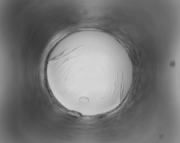 X0000116660293201001251223