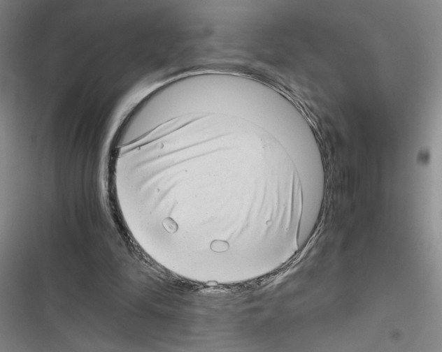 X0000116660294201001251223
