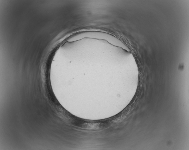 X0000116660295201001251223