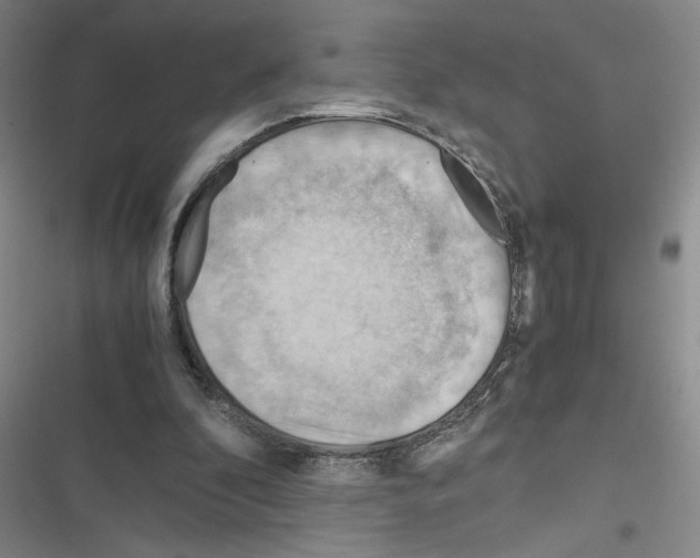 X0000116660296201001251223