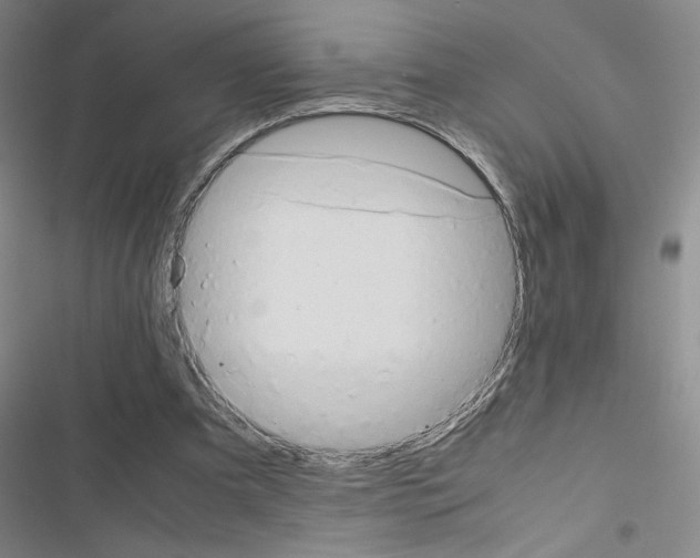 X0000116660297201001251223