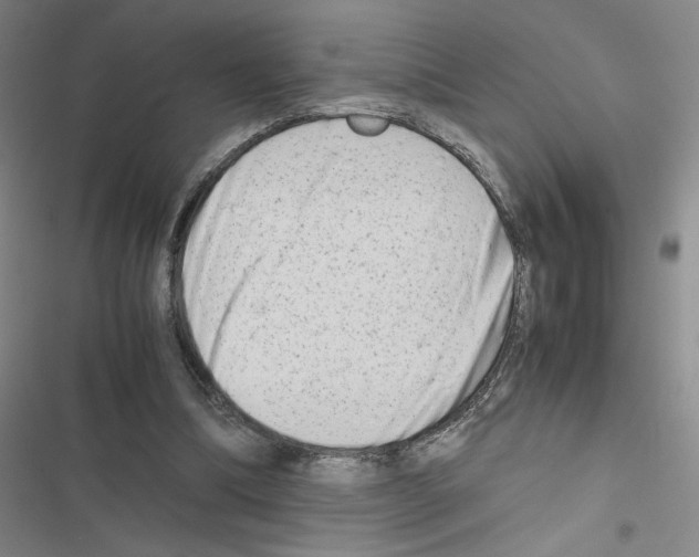 X0000116660298201001251223
