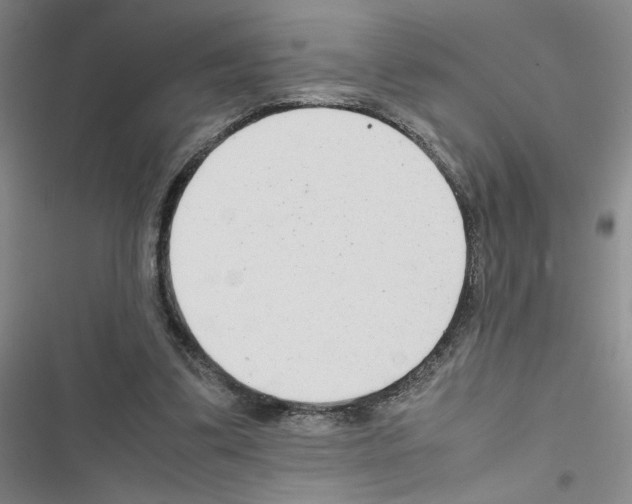 X0000116660299201001251223