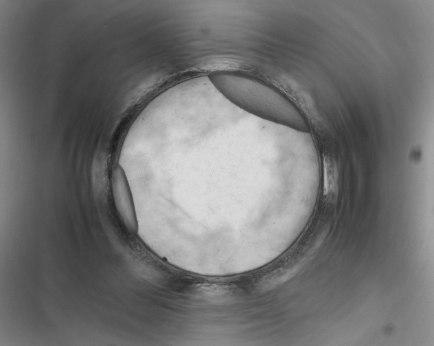 X0000116660300201001251223