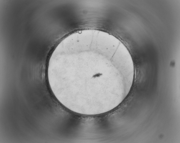 X0000116660301201001251223
