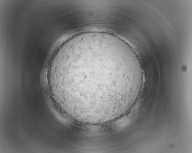 X0000116660302201001251223