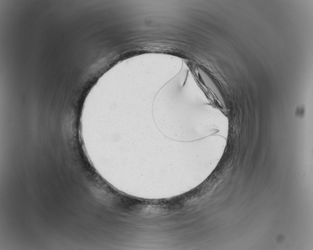 X0000116660303201001251223