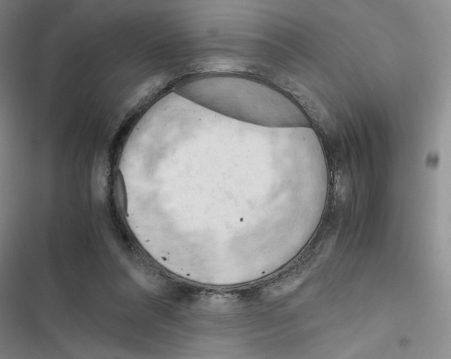 X0000116660304201001251223