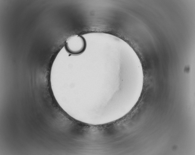 X0000116660305201001251223