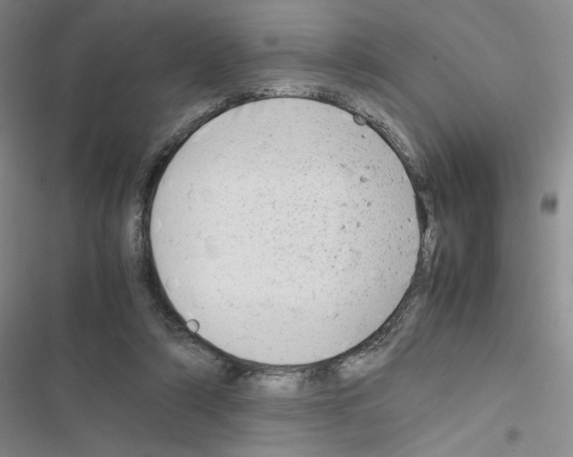 X0000116660306201001251223