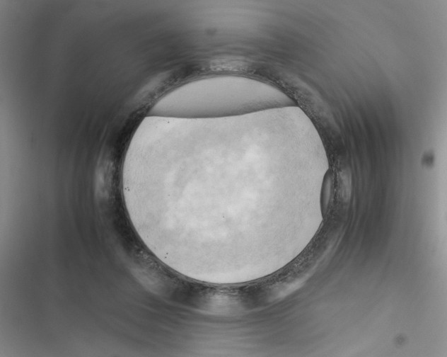 X0000116660308201001251223