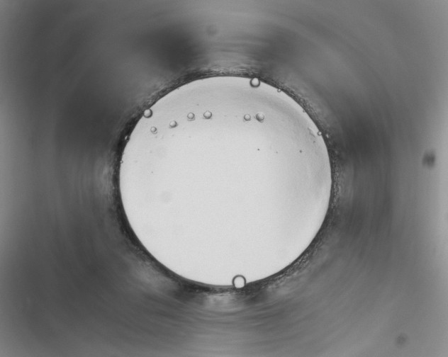 X0000116660309201001251223
