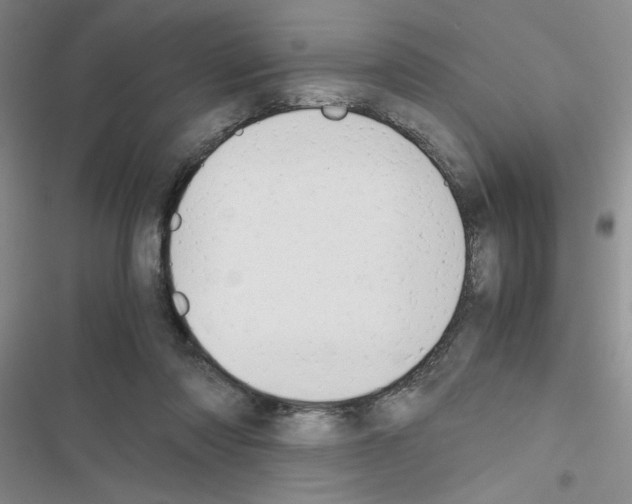 X0000116660310201001251223